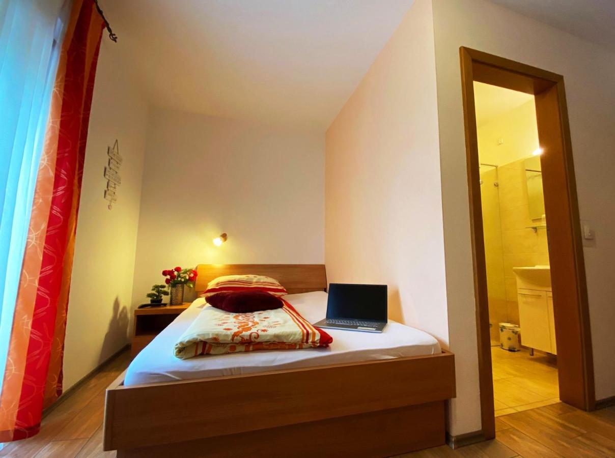 Guesthouse Mesec Zaplana Vrhnika Bagian luar foto