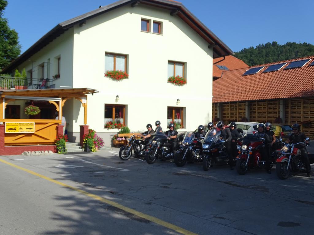 Guesthouse Mesec Zaplana Vrhnika Bagian luar foto
